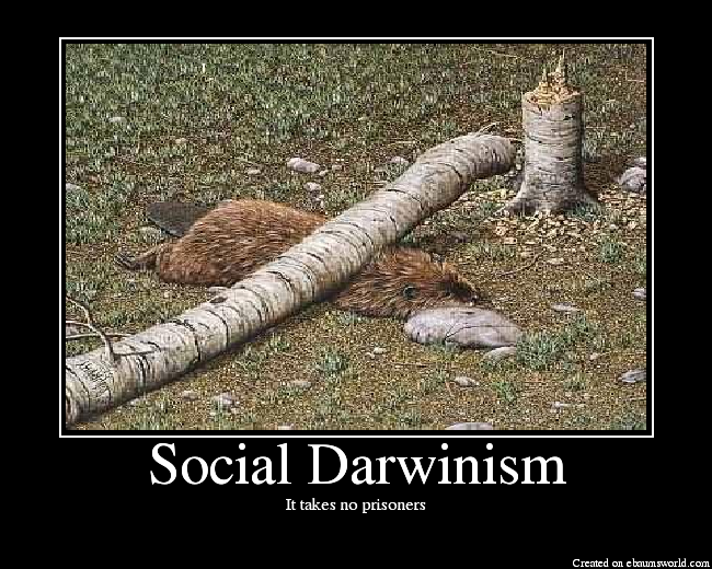 socialdarwinism.png